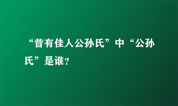 “昔有佳人公孙氏”中“公孙氏”是谁？