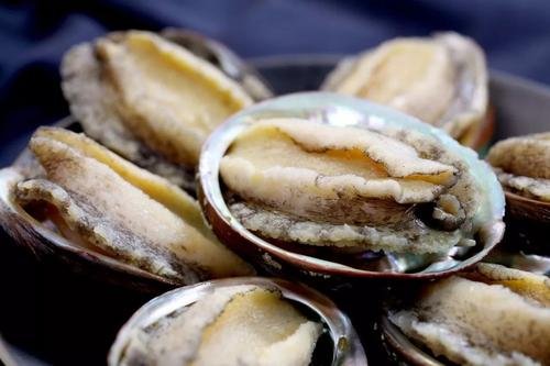 鲍鱼营养丰富、浑身是宝,其营养成分主要在哪个部位?