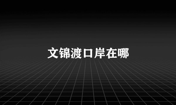 文锦渡口岸在哪