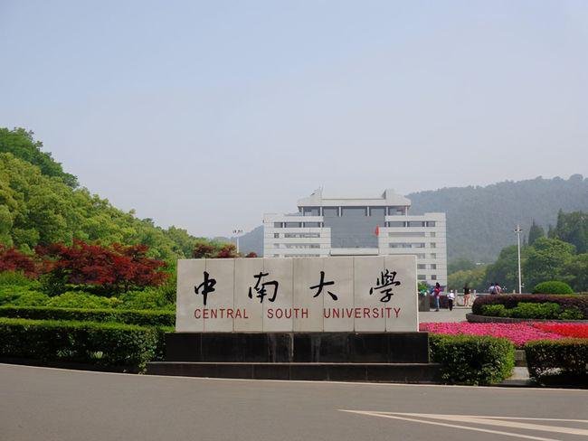 csu哪个大学