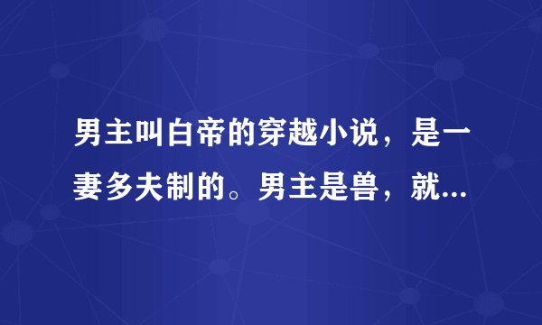 男主叫白帝的穿越小说，是一妻多夫制的。男主是兽，就是白老虎。
