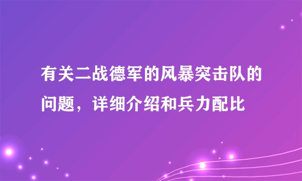 有关二战德军的风暴突击队的问题，详细介绍和兵力配比