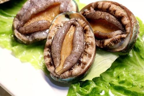 鲍鱼营养丰富、浑身是宝,其营养成分主要在哪个部位?