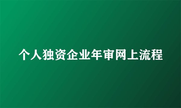 个人独资企业年审网上流程