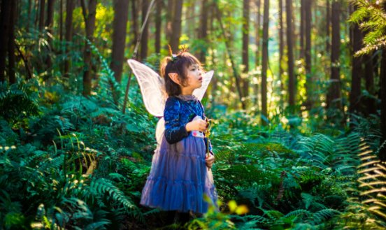 fairy的中文意思