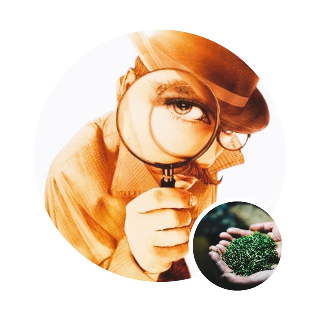 如何挑选茶叶