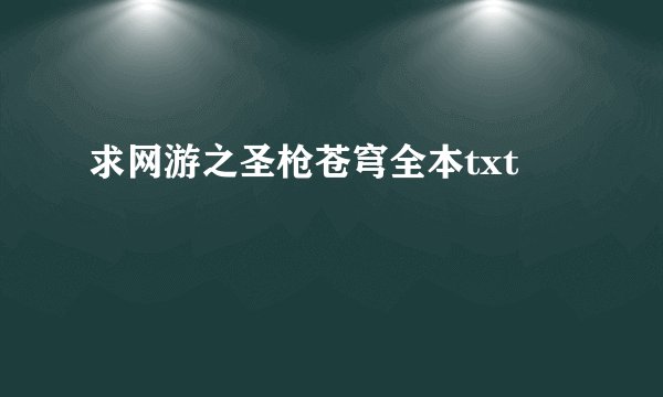 求网游之圣枪苍穹全本txt