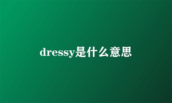 dressy是什么意思